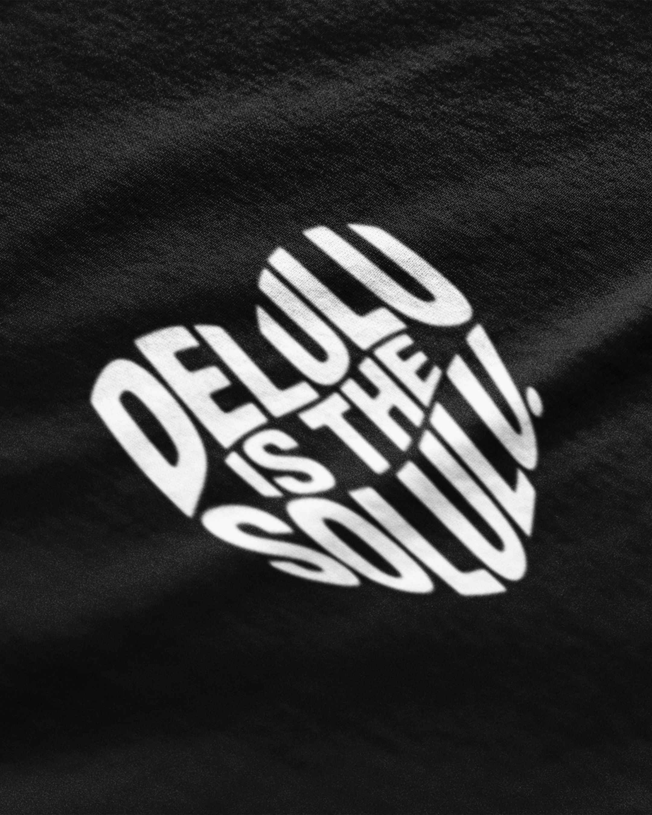 Delulu is the new Solulu - Crop Top